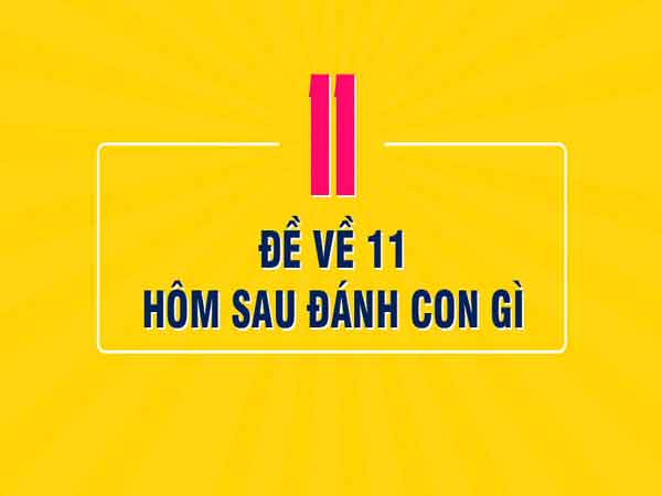 đề về 11