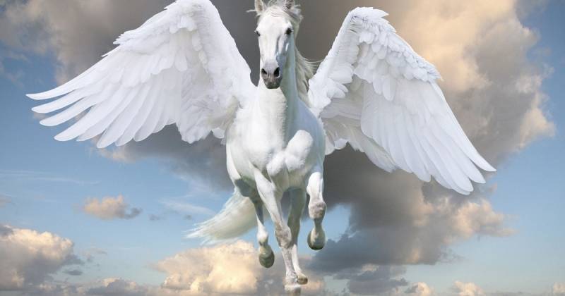 Mơ thấy ngựa trong các tình huống đặc biệt