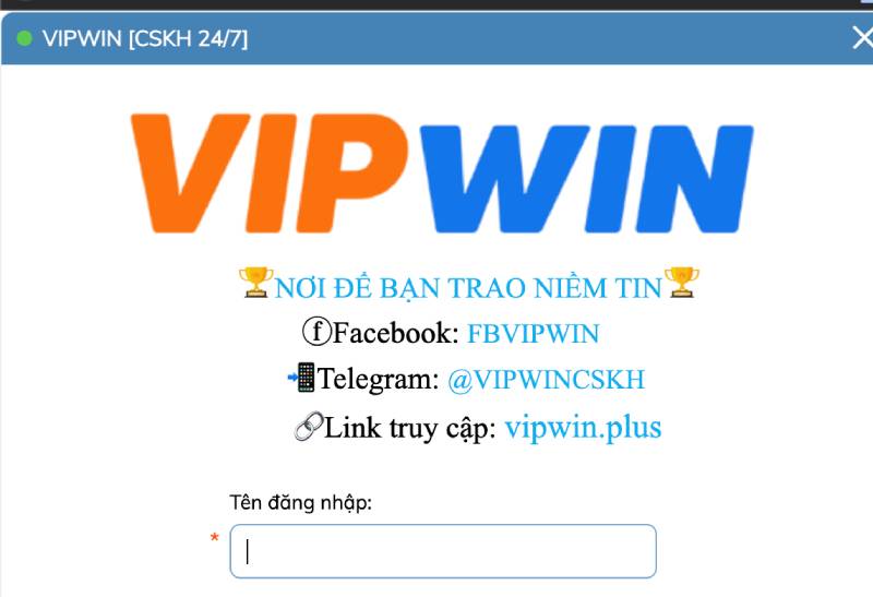 Dịch vụ hỗ trợ khách hàng hoạt động chuyên nghiệp và bài bản